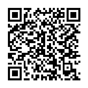 Link to your fundraiser QRCode - Fundraising
