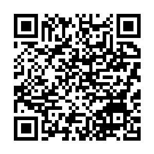 Link to your fundraiser QRCode - Fundraising