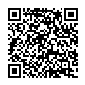 Link to your fundraiser QRCode - Fundraising