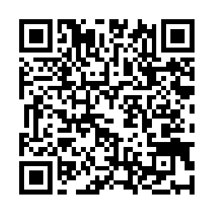 Link to your fundraiser QRCode - Fundraising