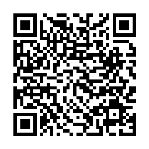 Link to your fundraiser QRCode - Fundraising