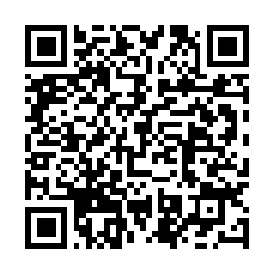 Link to your fundraiser QRCode - Fundraising