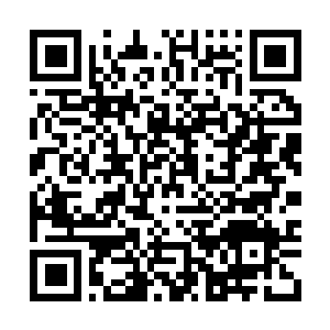Link to your fundraiser QRCode - Fundraising