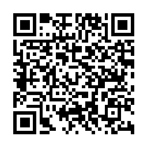 Link to your fundraiser QRCode - Fundraising
