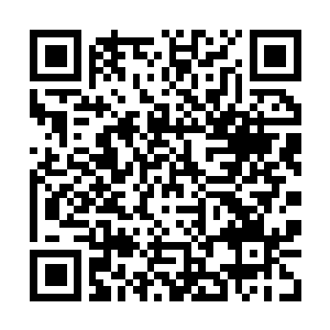 Link to your fundraiser QRCode - Fundraising