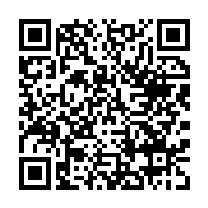 Link to your fundraiser QRCode - Fundraising