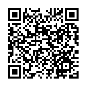 Link to your fundraiser QRCode - Fundraising