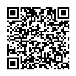 Link to your fundraiser QRCode - Fundraising