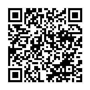 Link to your fundraiser QRCode - Fundraising