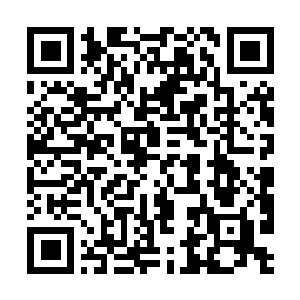 Link to your fundraiser QRCode - Fundraising