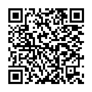 Link to your fundraiser QRCode - Fundraising