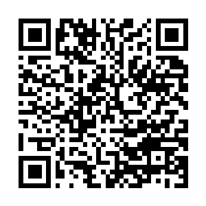 Link to your fundraiser QRCode - Fundraising