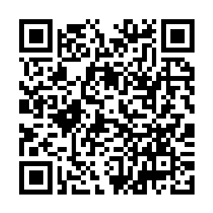 Link to your fundraiser QRCode - Fundraising