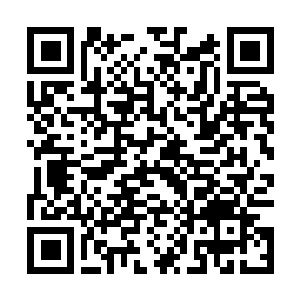 Link to your fundraiser QRCode - Fundraising
