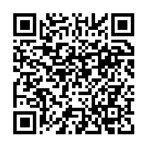 Link to your fundraiser QRCode - Fundraising