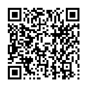 Link to your fundraiser QRCode - Fundraising