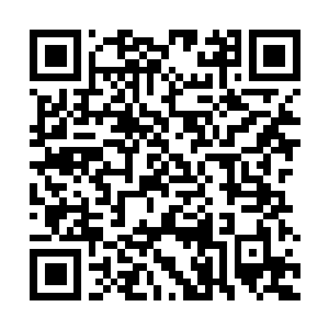Link to your fundraiser QRCode - Fundraising