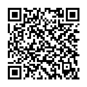 Link to your fundraiser QRCode - Fundraising