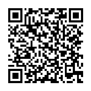 Link to your fundraiser QRCode - Fundraising