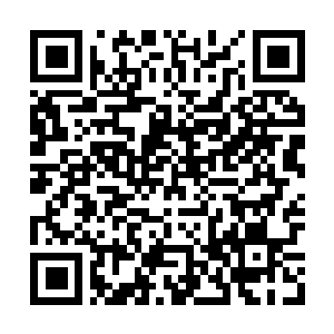 Link to your fundraiser QRCode - Fundraising