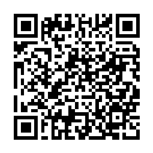 Link to your fundraiser QRCode - Fundraising