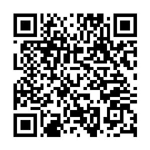 Link to your fundraiser QRCode - Fundraising