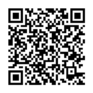 Link to your fundraiser QRCode - Fundraising