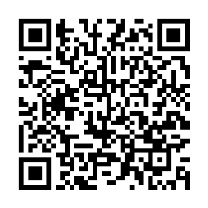 Link to your fundraiser QRCode - Fundraising