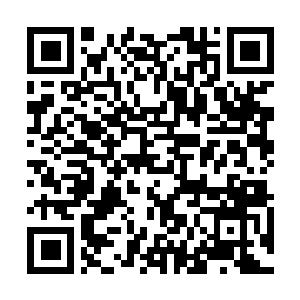 Link to your fundraiser QRCode - Fundraising