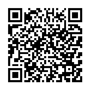 Link to your fundraiser QRCode - Fundraising