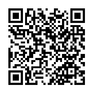 Link to your fundraiser QRCode - Fundraising