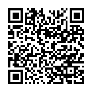 Link to your fundraiser QRCode - Fundraising