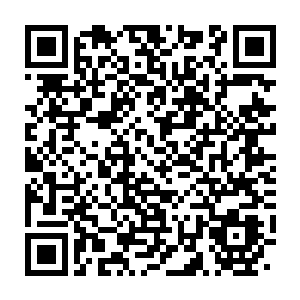 Link to your fundraiser QRCode - Fundraising