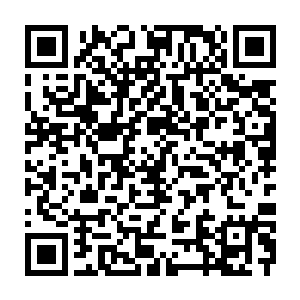Link to your fundraiser QRCode - Fundraising