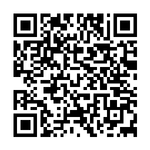 Link to your fundraiser QRCode - Fundraising