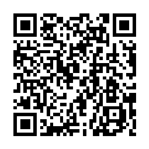 Link to your fundraiser QRCode - Fundraising