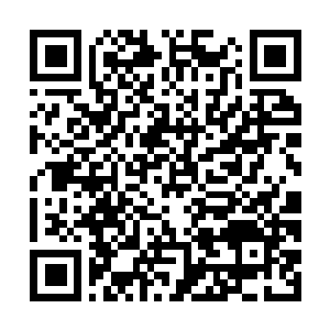 Link to your fundraiser QRCode - Fundraising