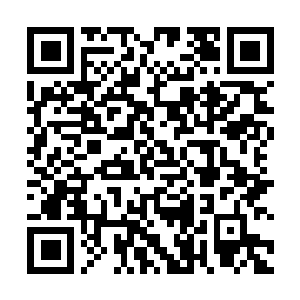 Link to your fundraiser QRCode - Fundraising