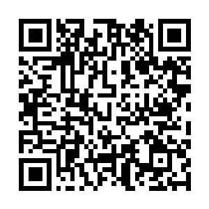 Link to your fundraiser QRCode - Fundraising
