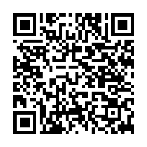 Link to your fundraiser QRCode - Fundraising
