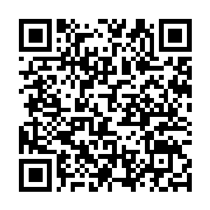 Link to your fundraiser QRCode - Fundraising