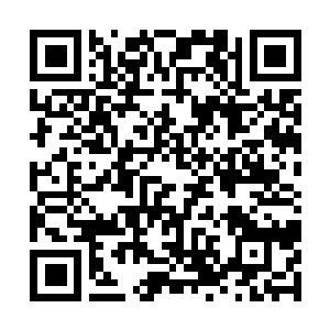 Link to your fundraiser QRCode - Fundraising
