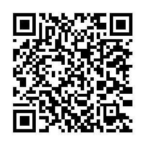Link to your fundraiser QRCode - Fundraising