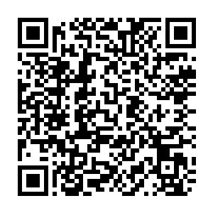 Link to your fundraiser QRCode - Fundraising