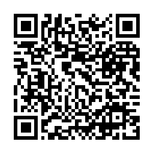 Link to your fundraiser QRCode - Fundraising