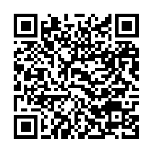 Link to your fundraiser QRCode - Fundraising
