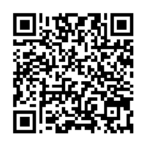 Link to your fundraiser QRCode - Fundraising
