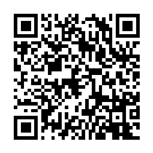 Link to your fundraiser QRCode - Fundraising
