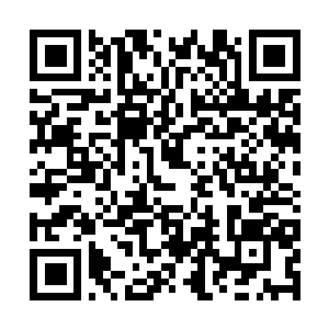 Link to your fundraiser QRCode - Fundraising