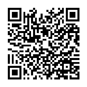 Link to your fundraiser QRCode - Fundraising